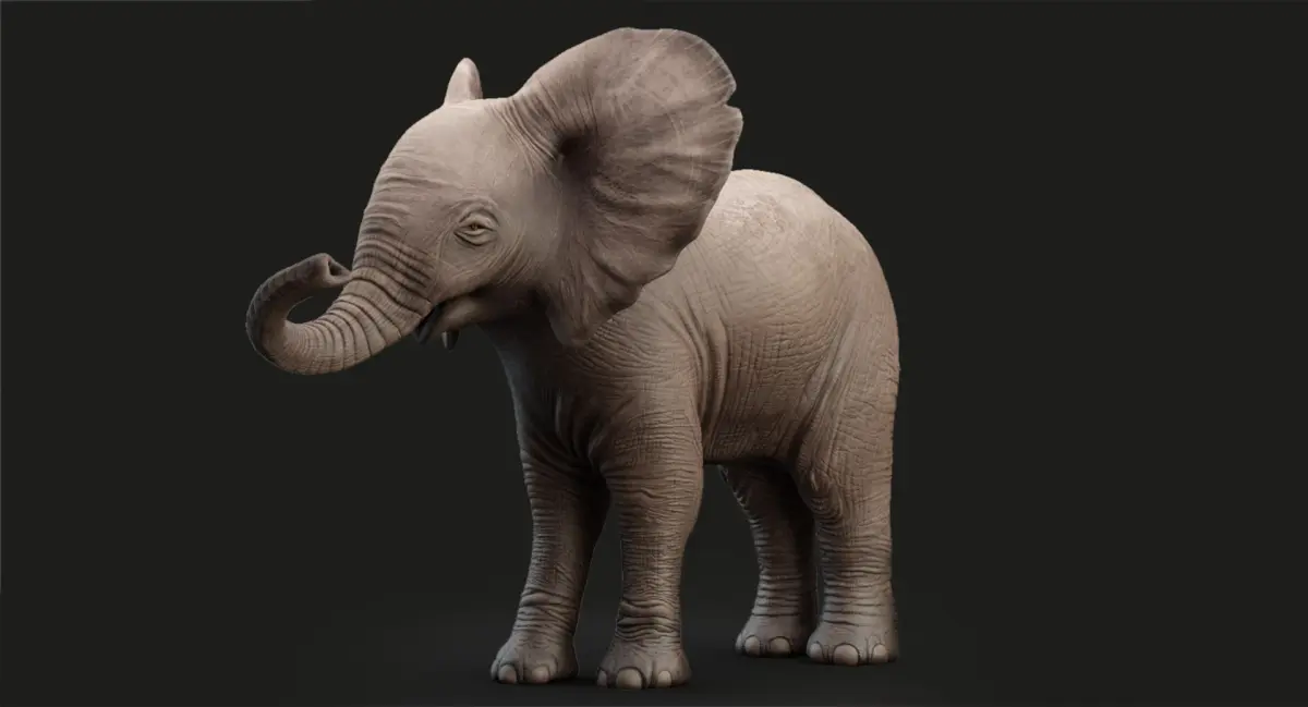 Animated Elephant Baby 3D 3D model