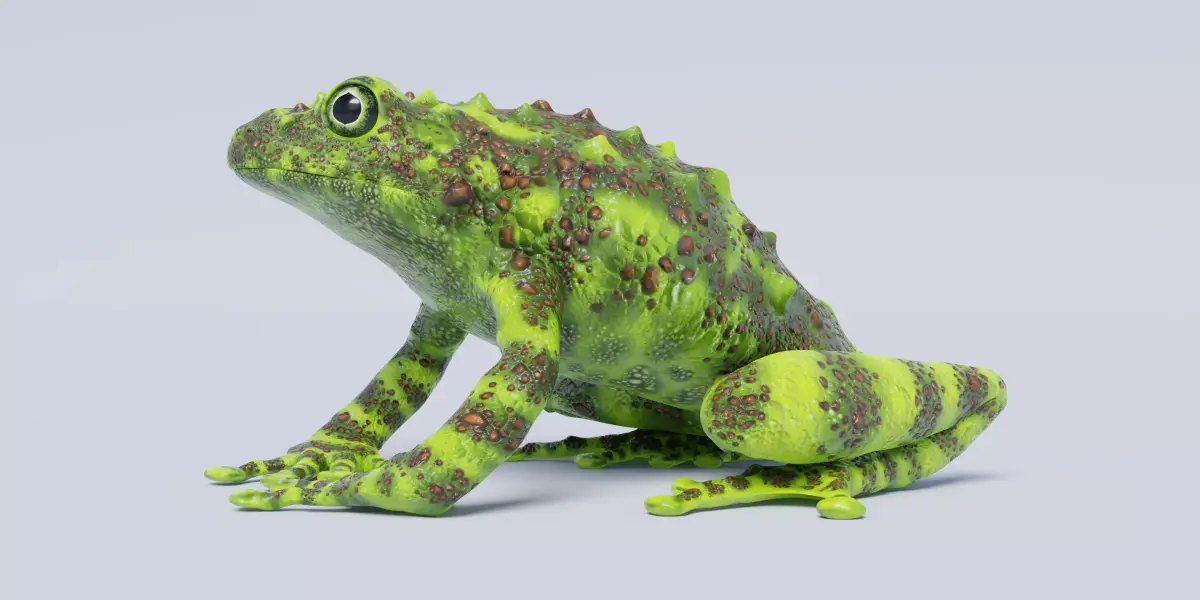 Vietnamese Mossy Frog Rigged Free low-poly 3D model