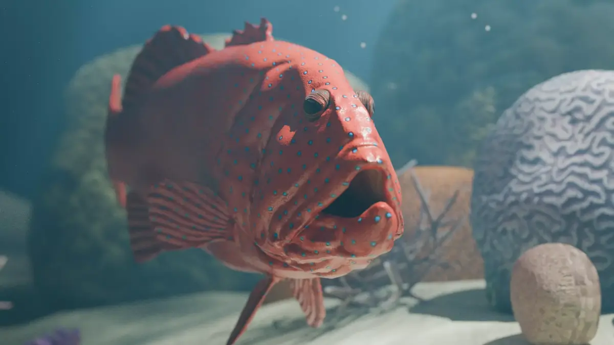 Realistic Coral Trout 3D Model Low-poly 3D model