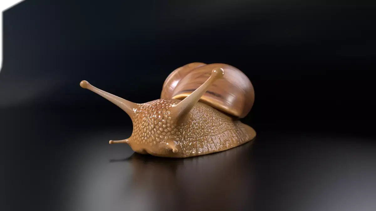 Snail PBR GameReady Model Low-poly 3D model