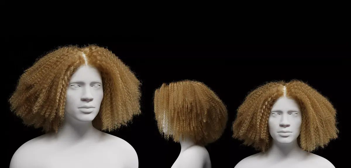 Middle Part Curls 3D model