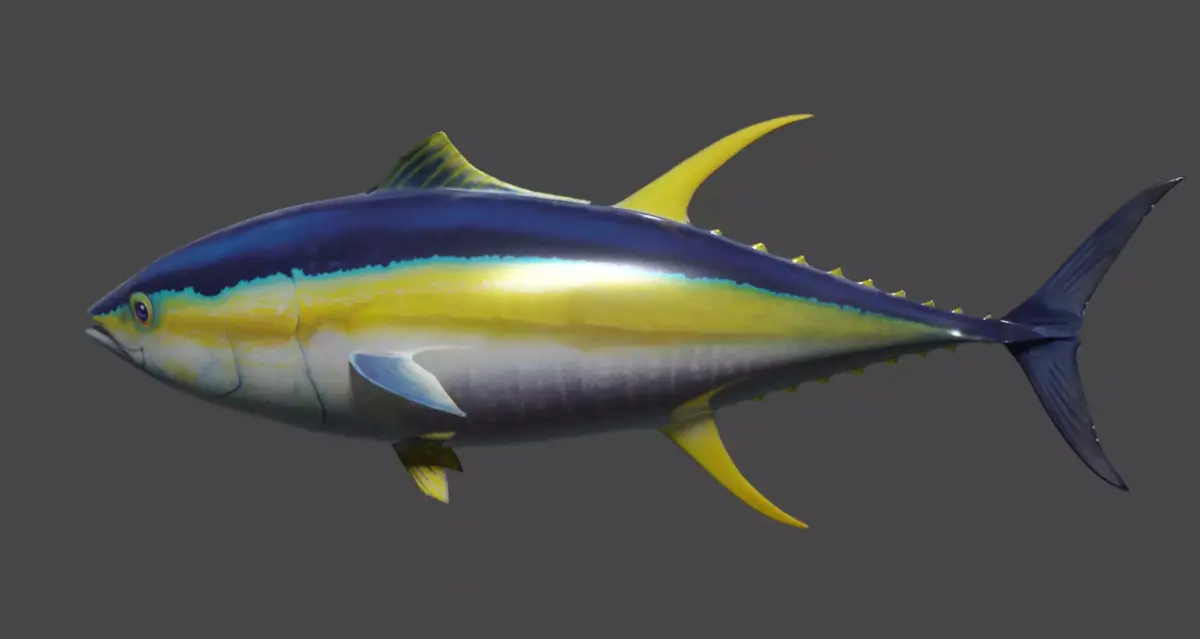 Yellowfin Tuna Rigged Hi and Low Poly Versions Low-poly 3D model