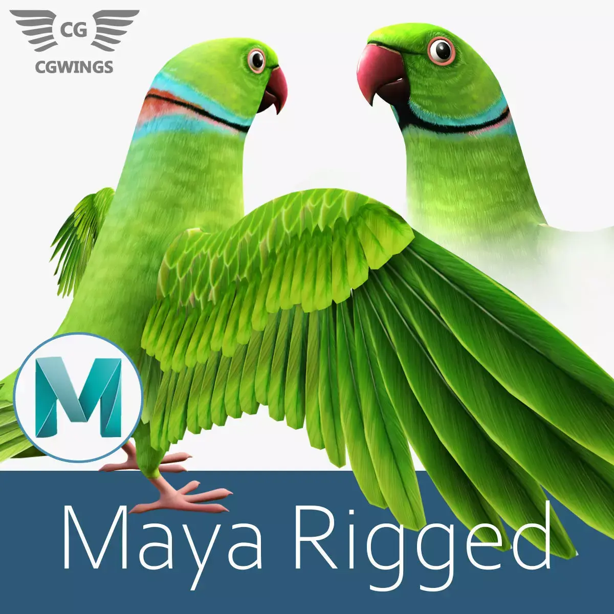 Parrot  bird Low-poly 3D model