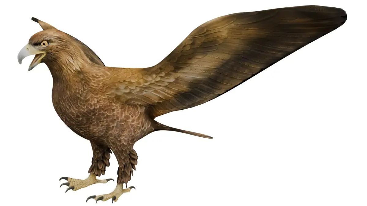 Eagle 3D model get