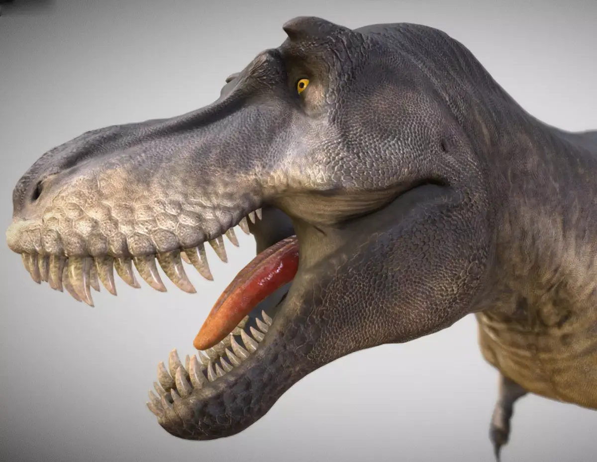 Tyrannosaurus rex Black Beauty Low-poly 3D model