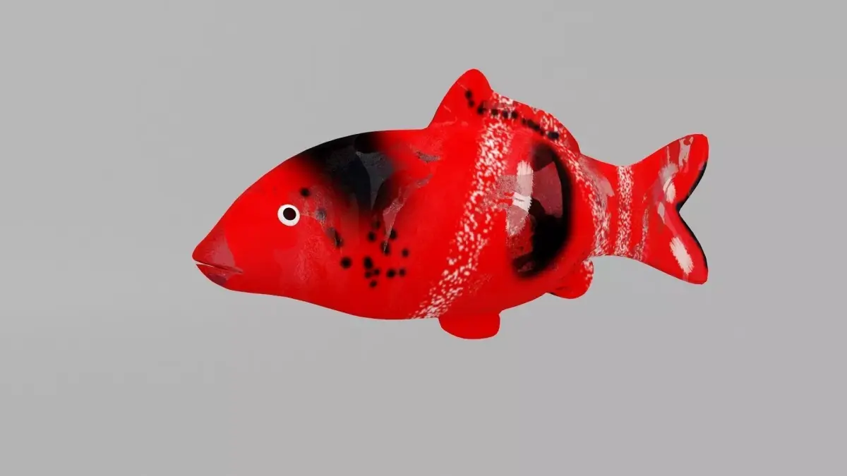 Koi Fish 3D model purchase