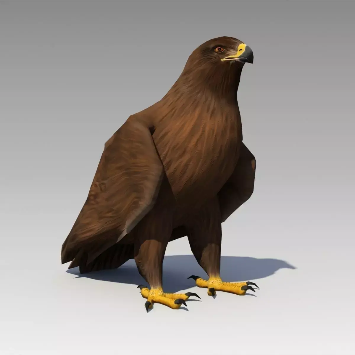 Golden Eagle Animated Low-poly 3D model