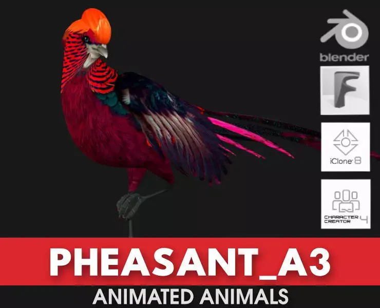 Pheasant A3 3D model