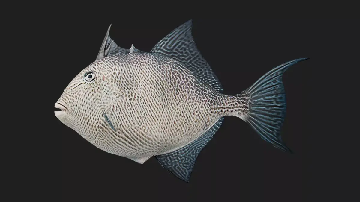 Filefish Low-poly 3D model buy