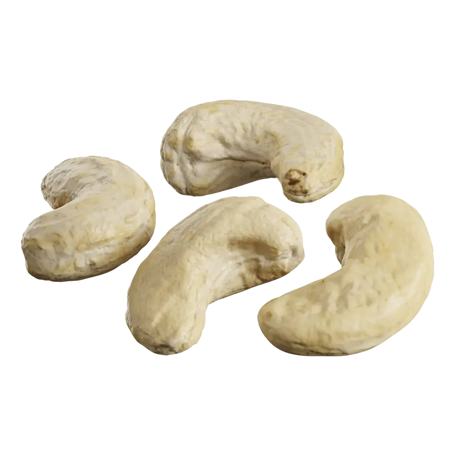  Raw Cashew Nuts Model 