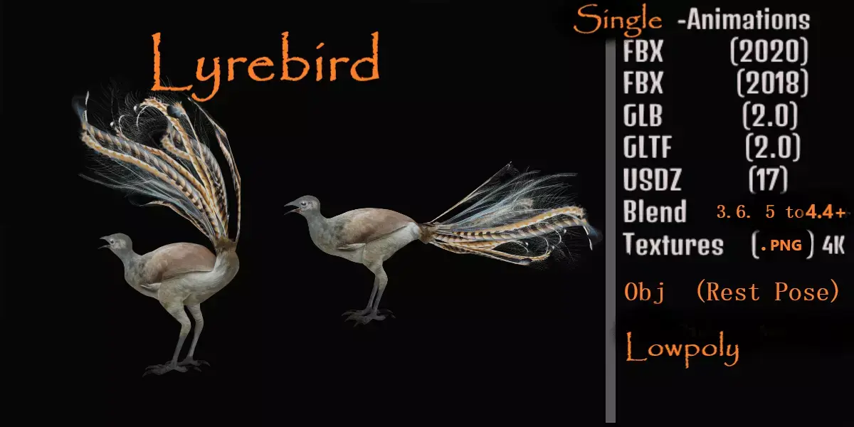 Lyrebird Low-poly 3D model