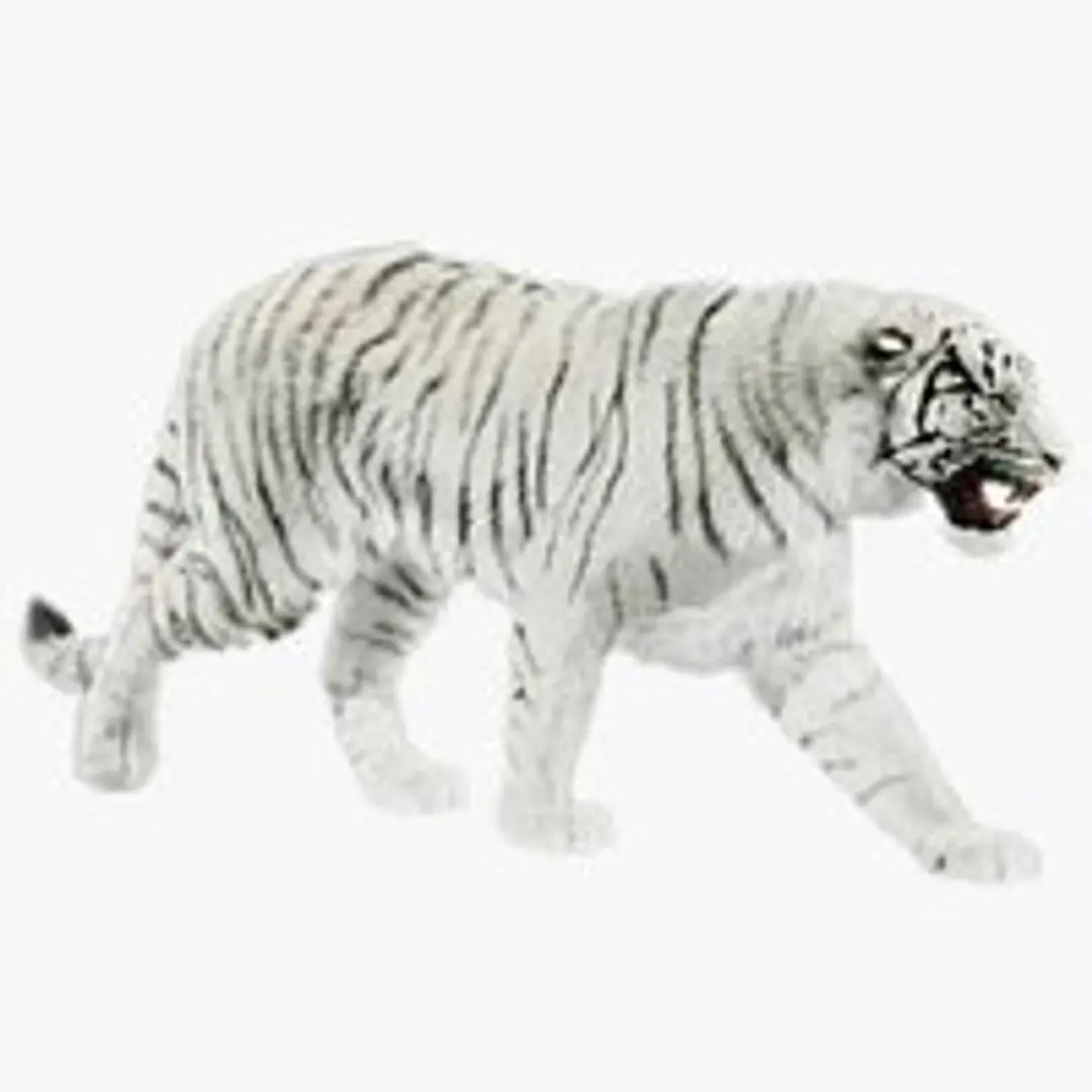 Tigers- White and Bengal - UNREAL PROJECTS 3D model