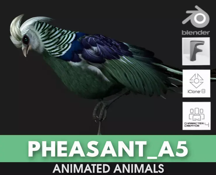 Pheasant A5 3D model
