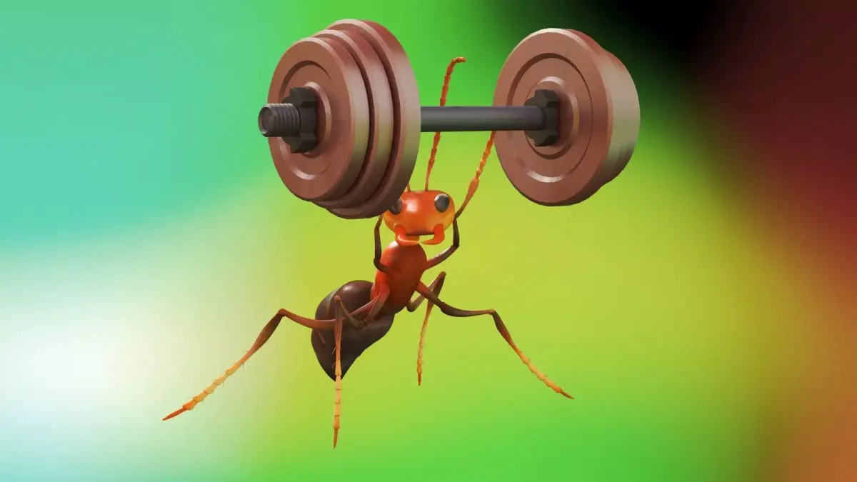Ants black ants  insects Formicidae  arthropods army  3D model