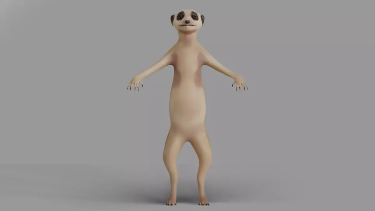 Suricata meerkat 3D model