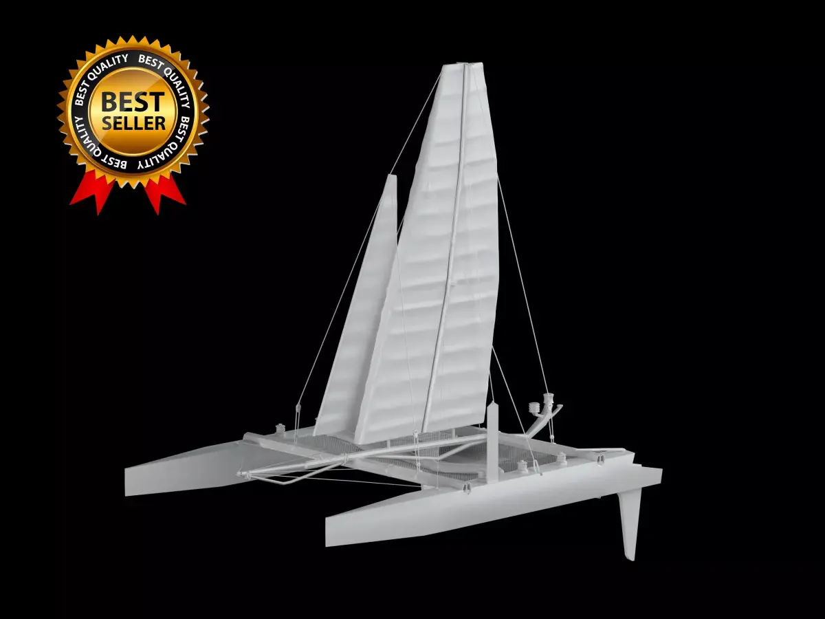 Catamaran Sailing Boat 3D print model