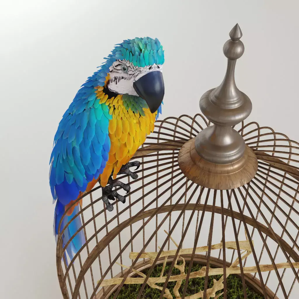 Parrot Ara 3D model