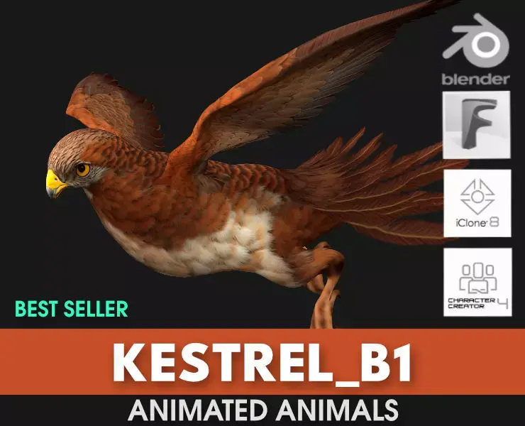 Kestrel B1 3D model