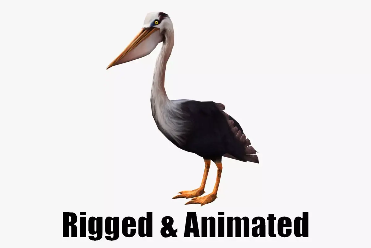 low-poly animated pelican pelecanus Low-poly 3D model