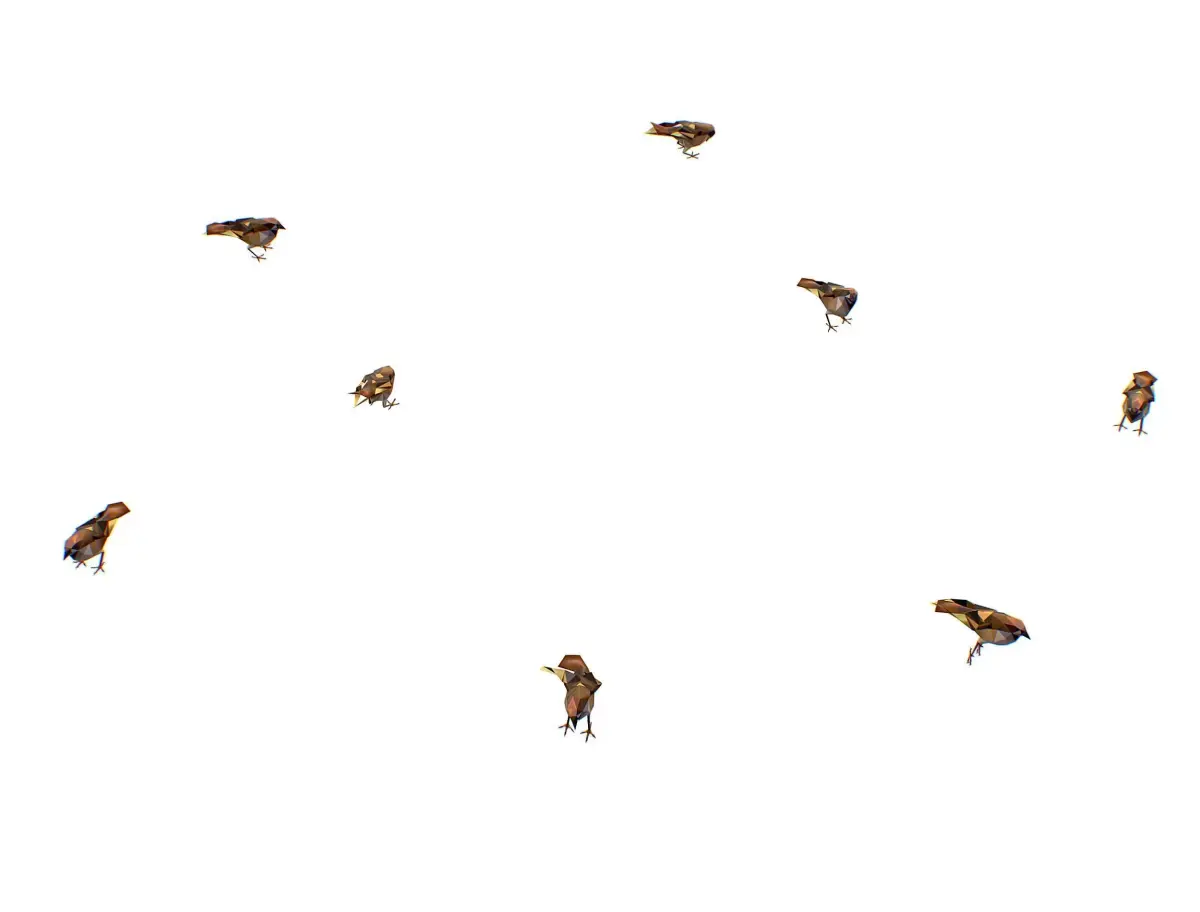 Animated Flock Sparrow Sirds lowpoly art style Low-poly 3D model purchase