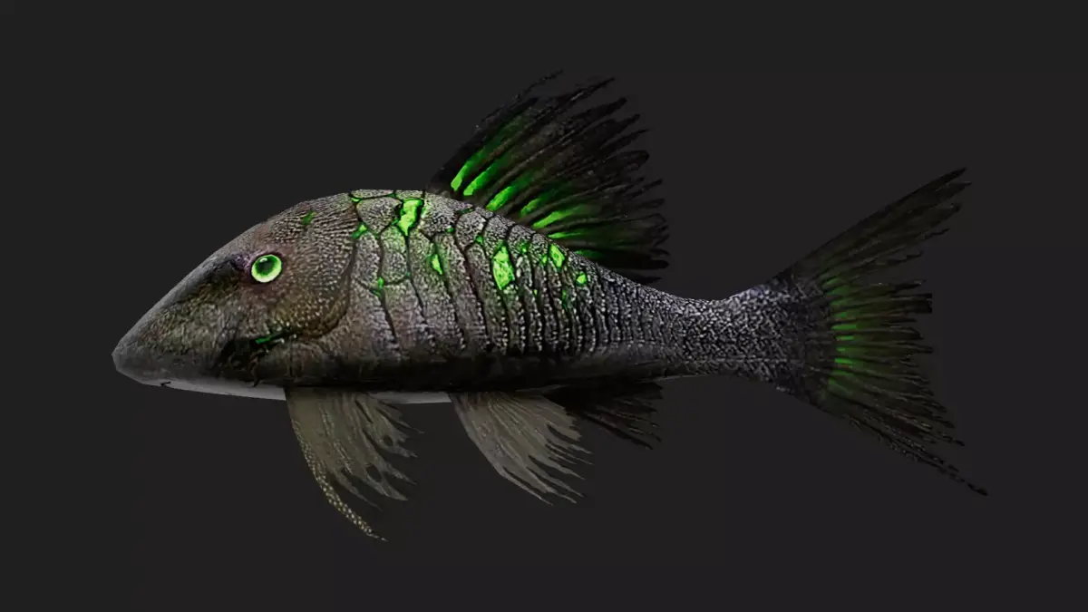 Panaque Low-poly 3D model