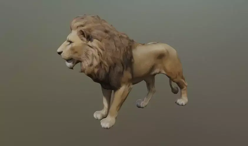 A lion 3D model