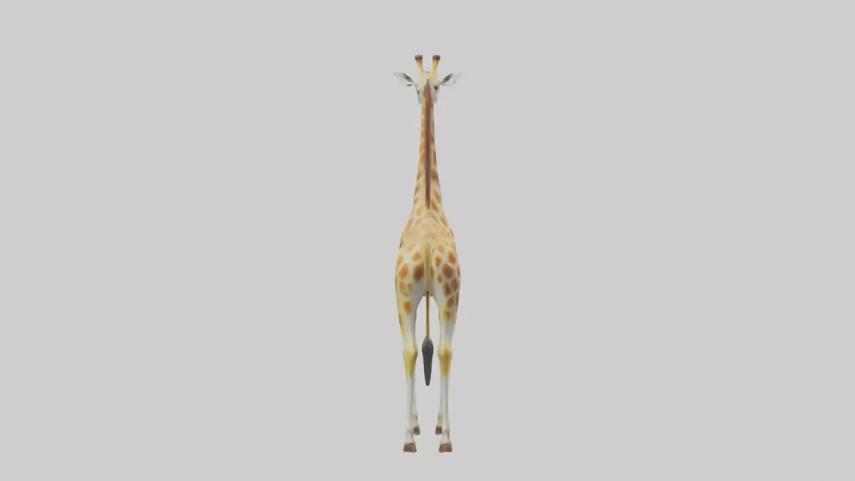 Giraffe grazing model Low-poly 3D model