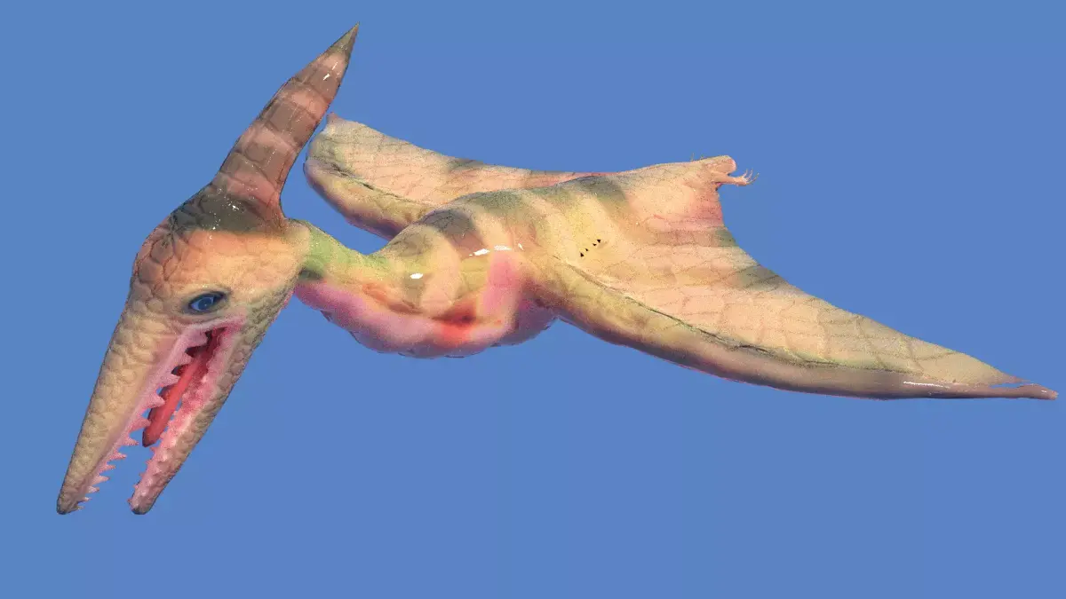 pteranodon dinosaur 3D model