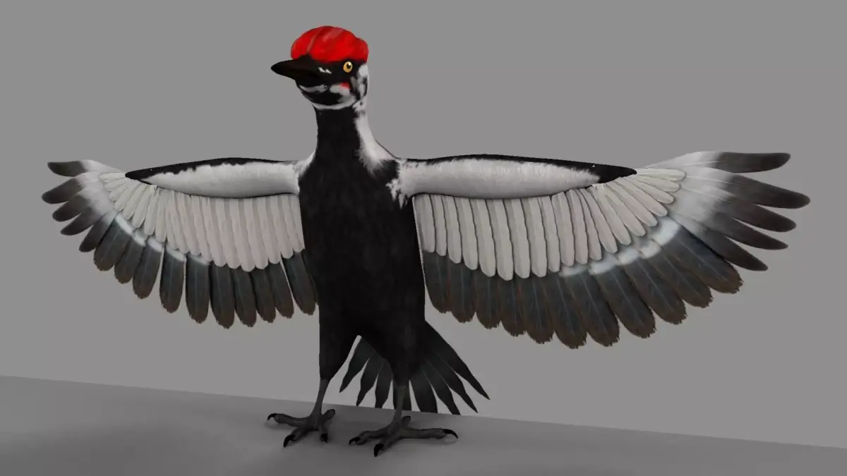 Pileated Woodpecker Animation and Rigging 3D model