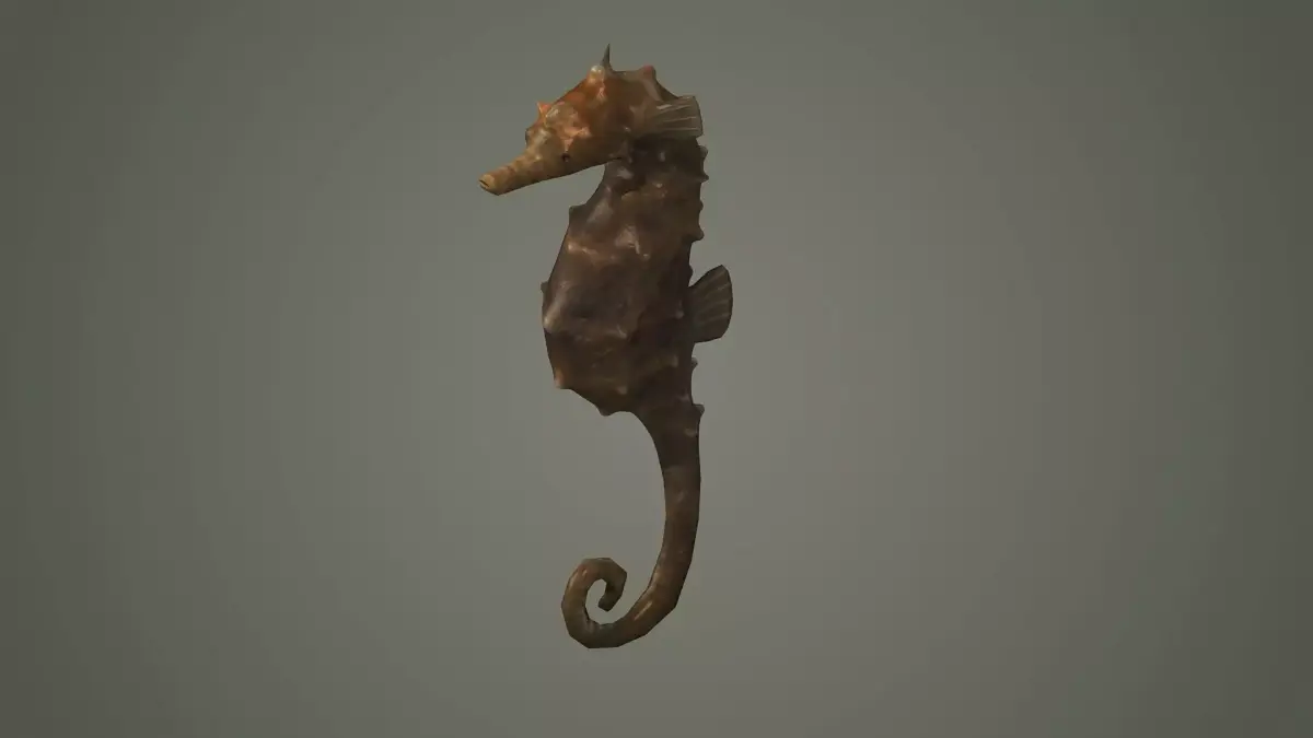 seahorse sea horse fish aquarium hippocampus seahorses  3D model