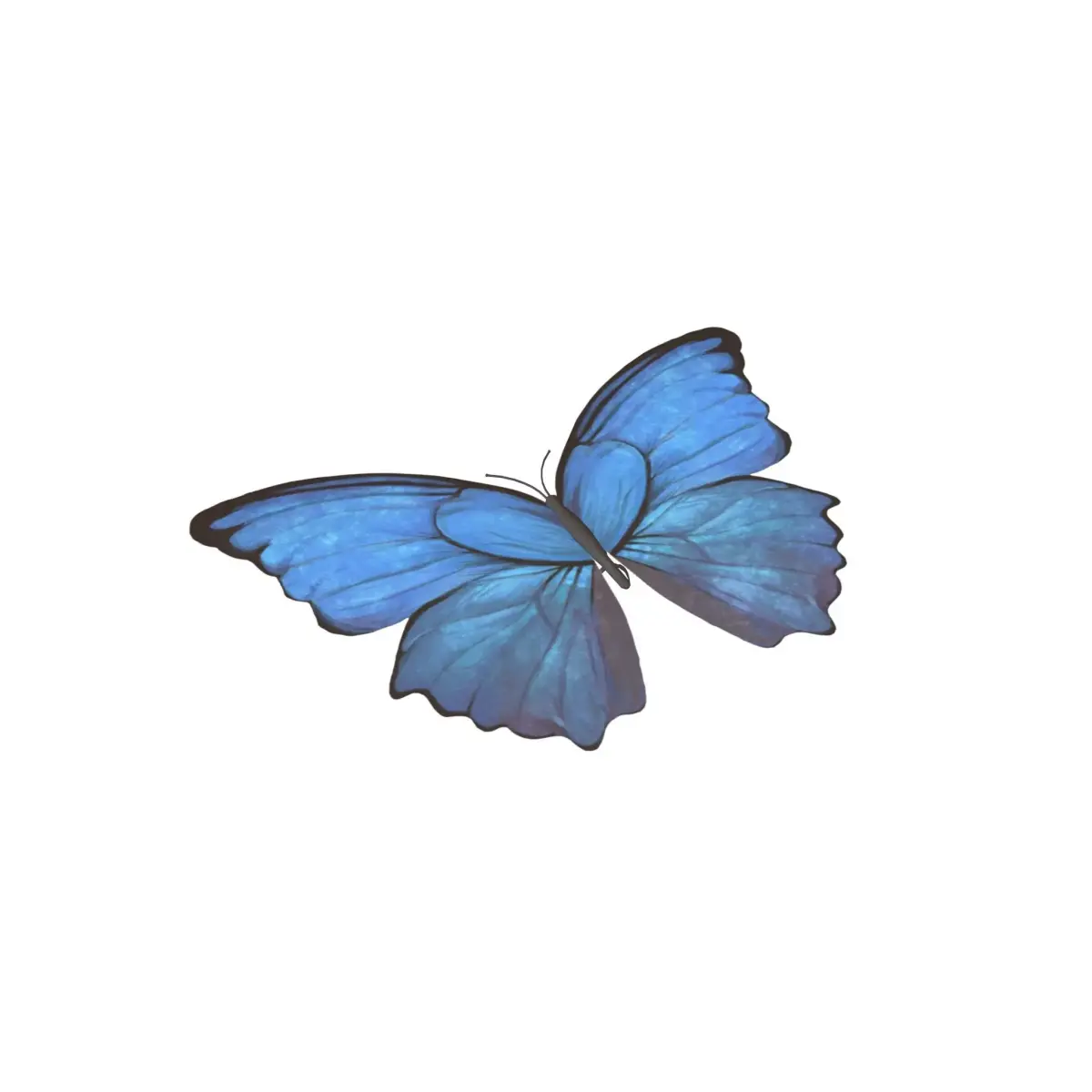 Butterfly v1 001 Low-poly 3D model
