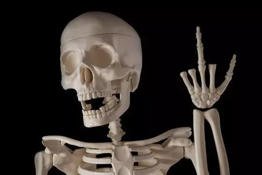 skeletons skeleton making hand gesture 3D model
