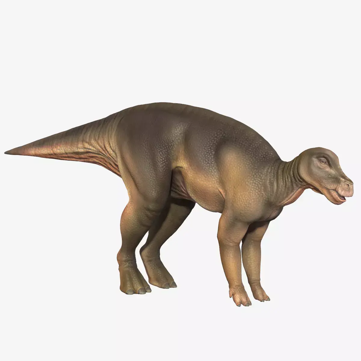 Protohadros dinosaur Low-poly 3D model