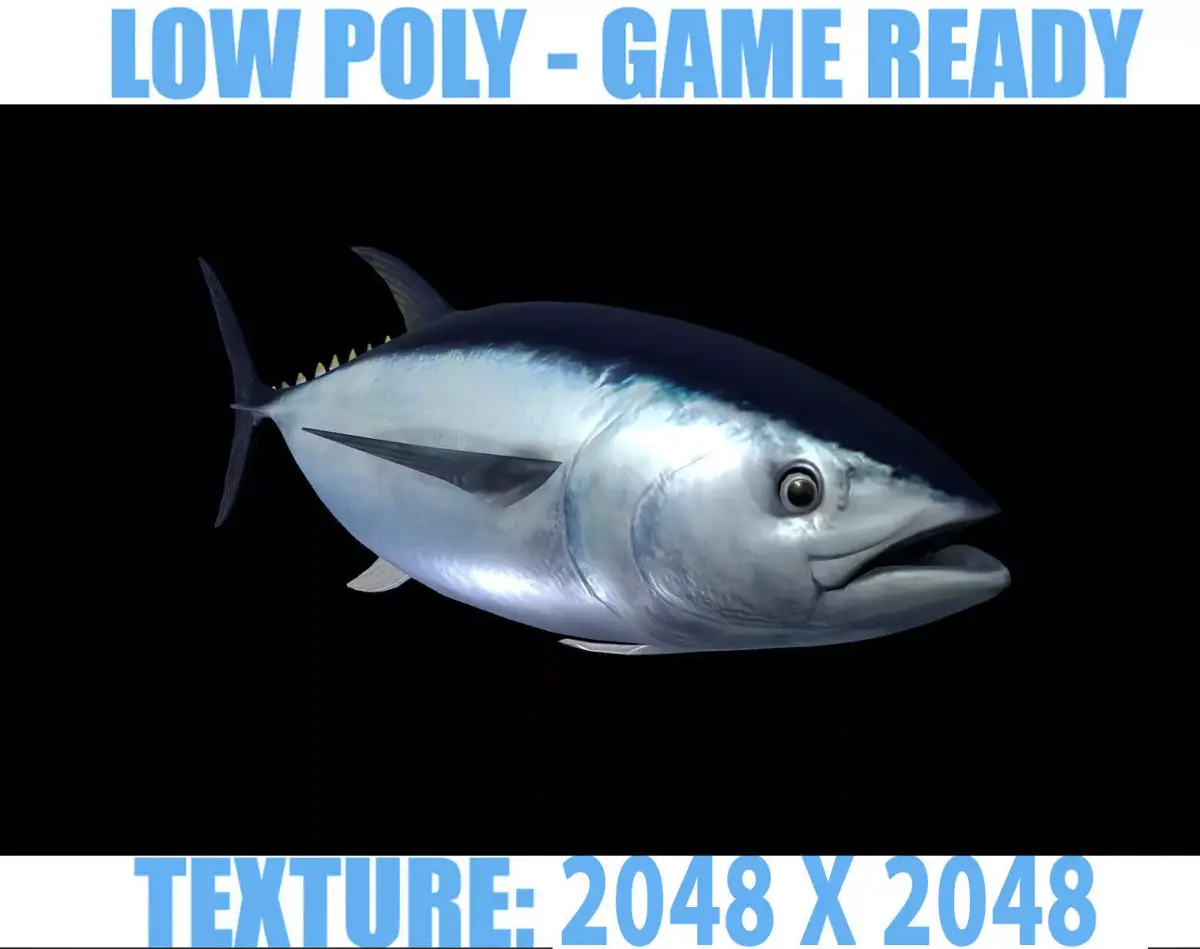 Tuna fish Low-poly 3D model 3