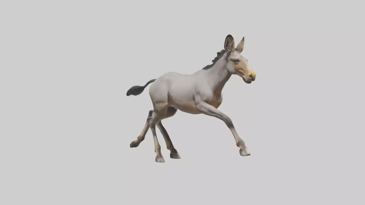 Indian Wild Ass running model Low-poly 3D model