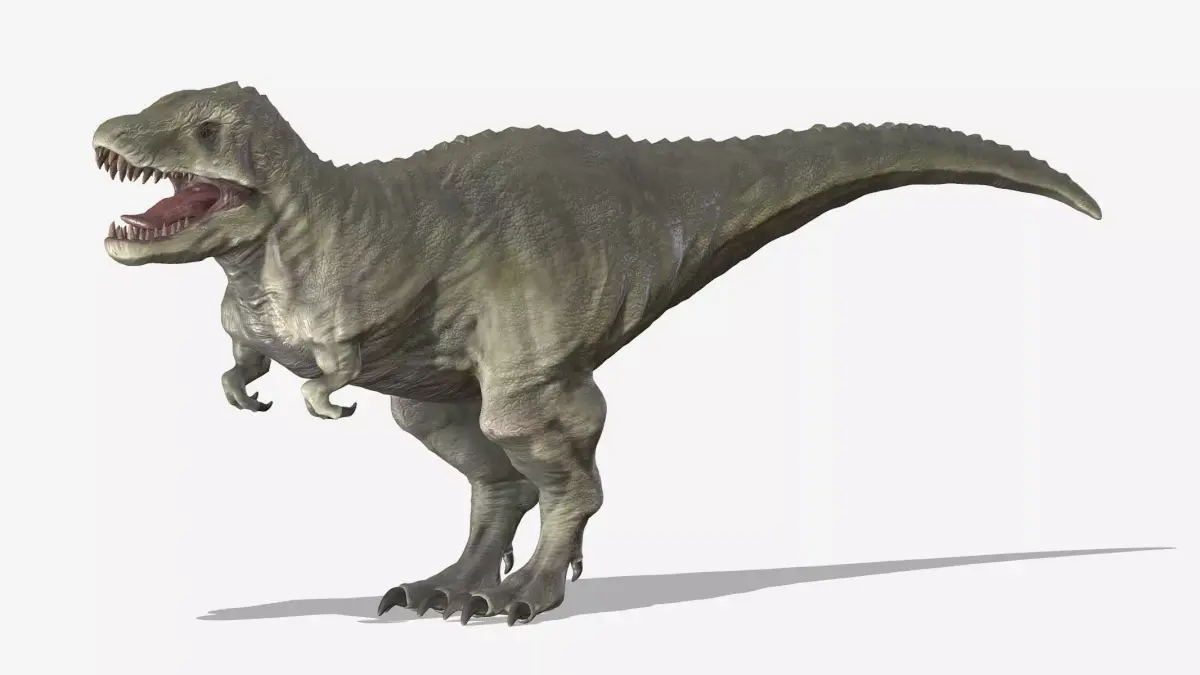  Tyrannosaurus 02 Low Poly PBR Realistic Low-poly 3D model
