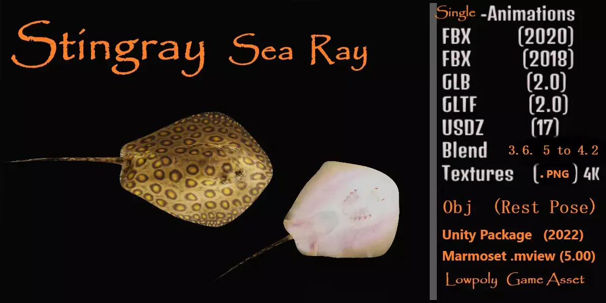 Stingray Low-poly 3D model 5