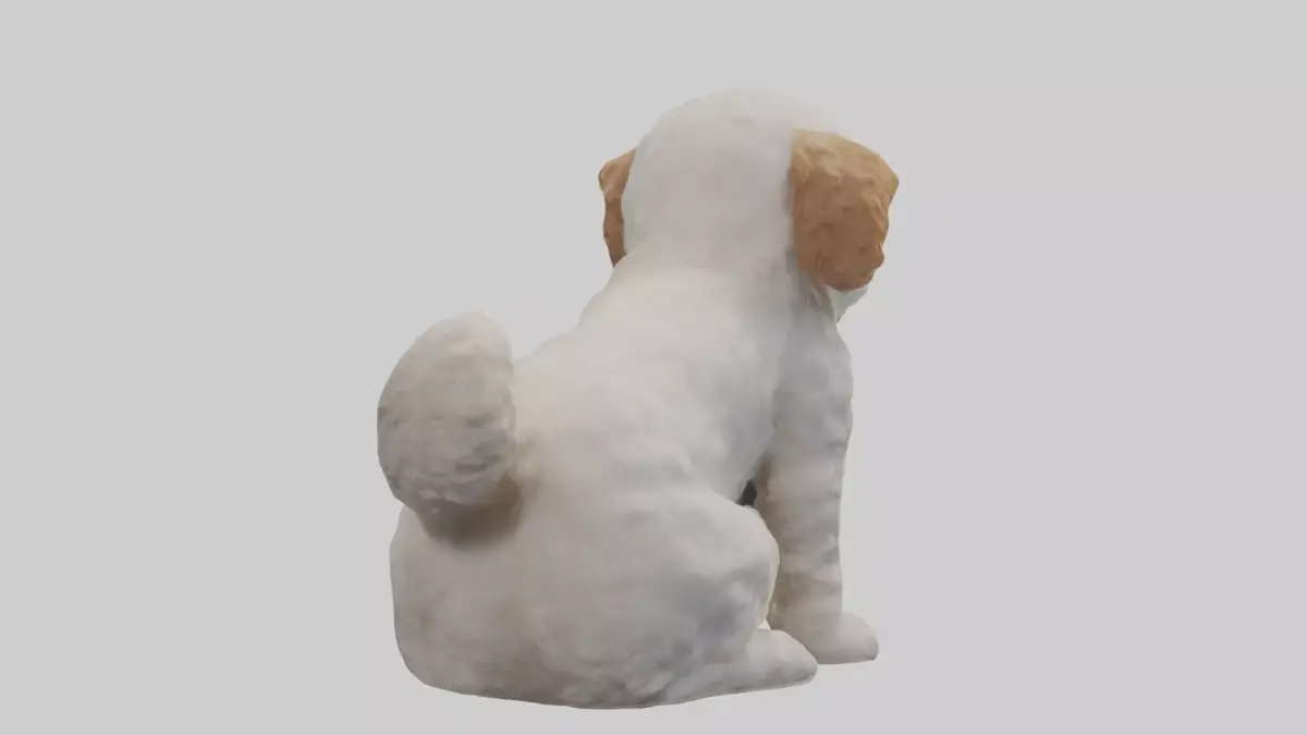 Cockapoo wagging tail model 3D model