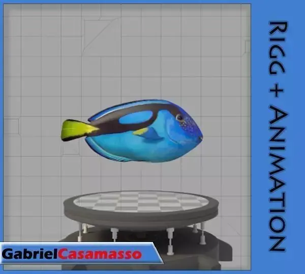 Blue Tang Low-poly 3D model purchase