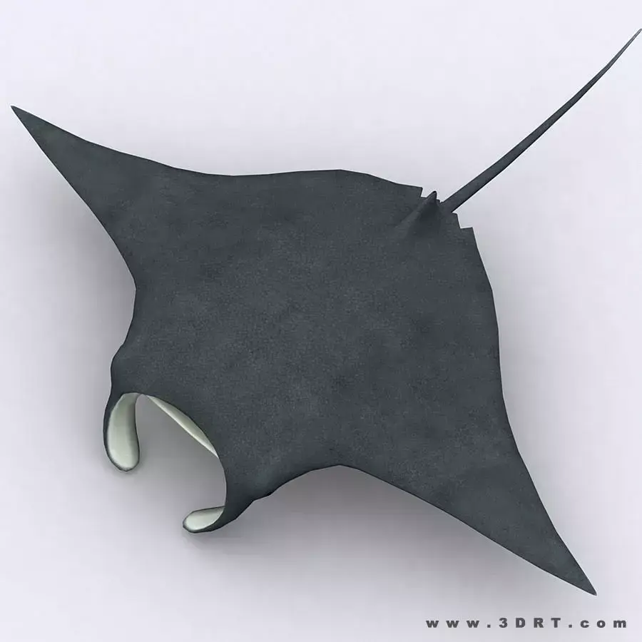 3DRT - Sealife - Manta ray Low-poly 3D model