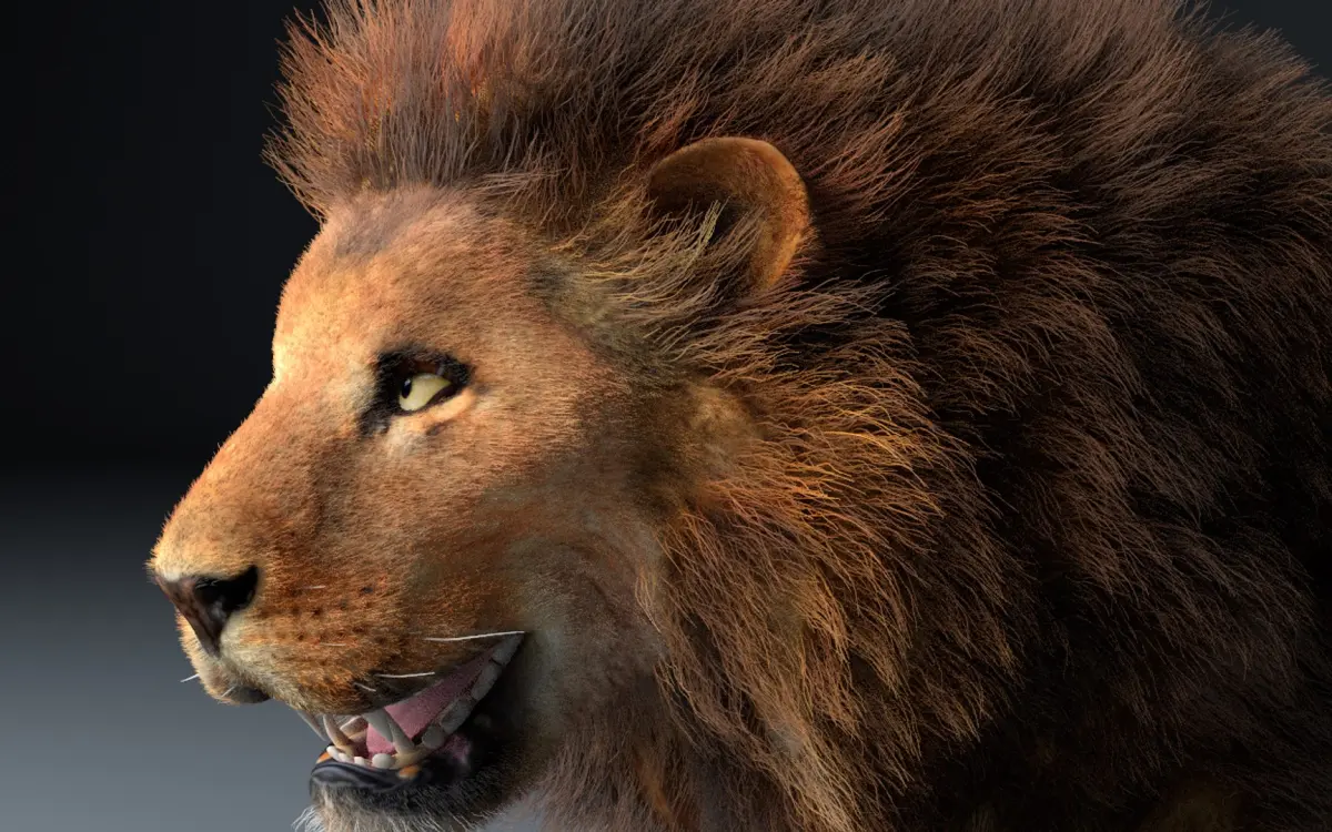 African Lion Hair Fur Rigged 3D model