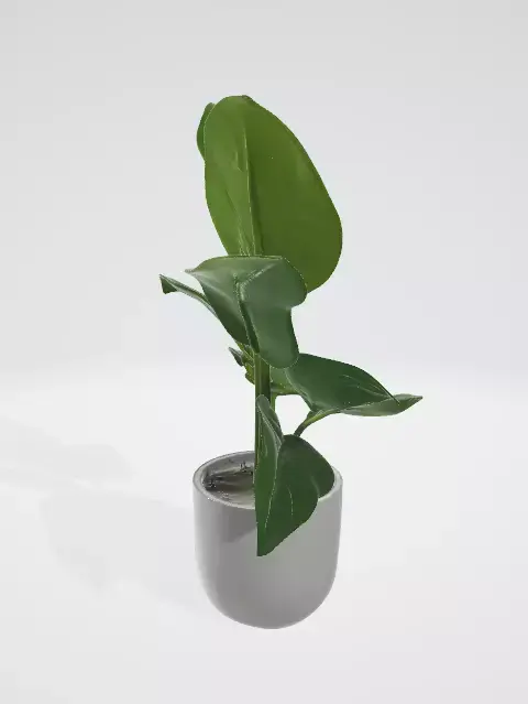 3d model of a plant 3D model