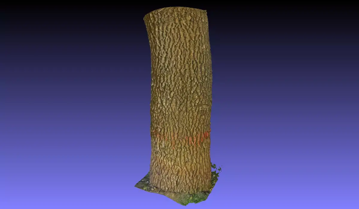 PART OF TREE Free 3D model
