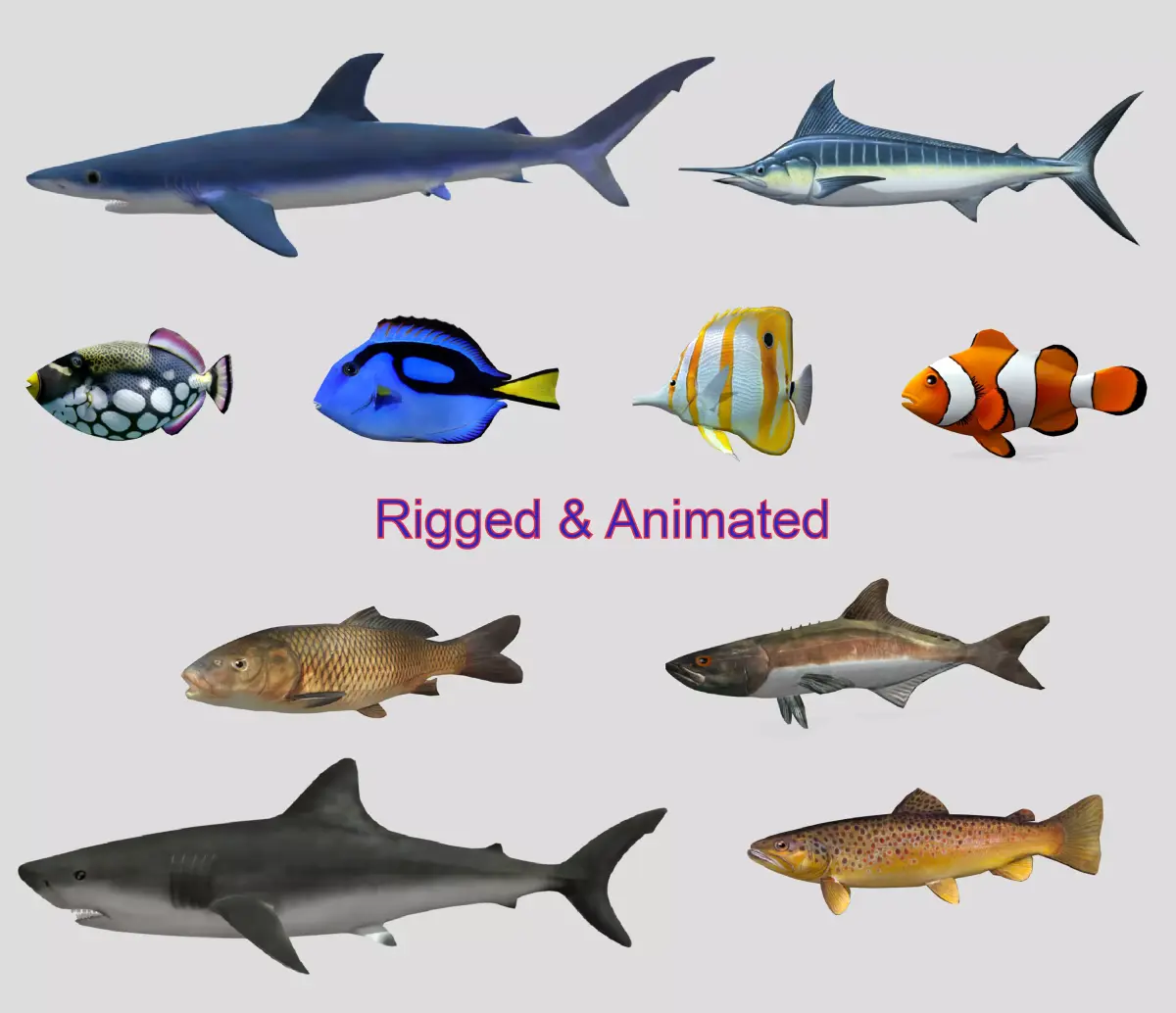 Fish Collection Animated - Game Ready Pack 2 Low-poly 3D model