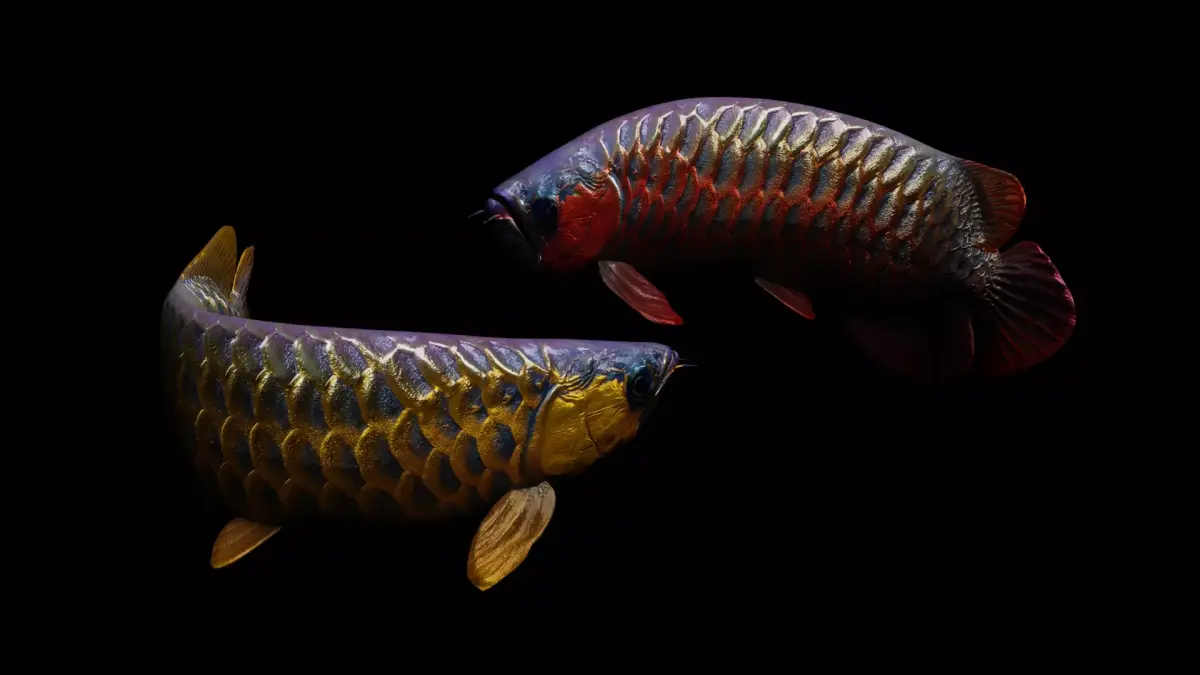 Arowana dragon fish Low-poly 3D model