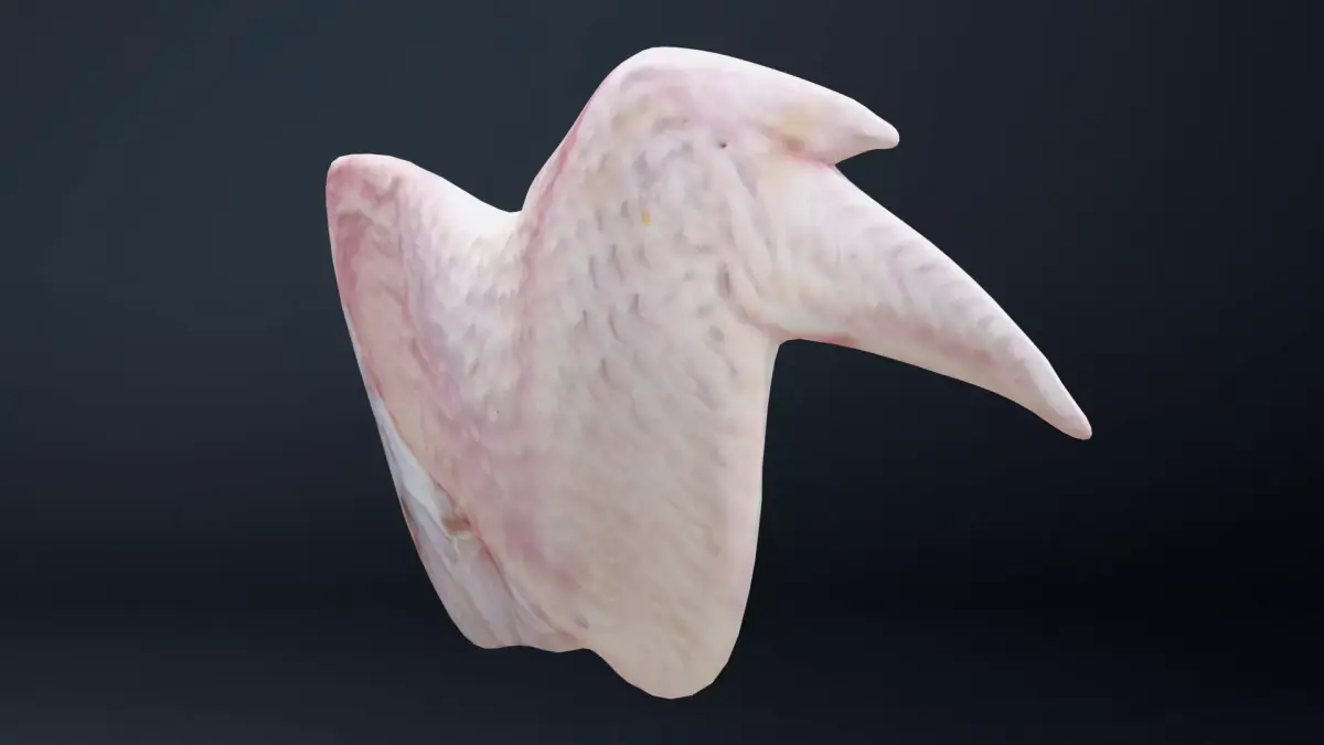 Wings of bird Low-poly 3D model