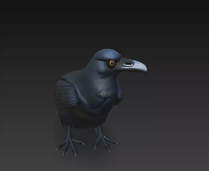 Crow Black Realistic 3D Model Basic - Low Poly Realistic Low-poly 3D model