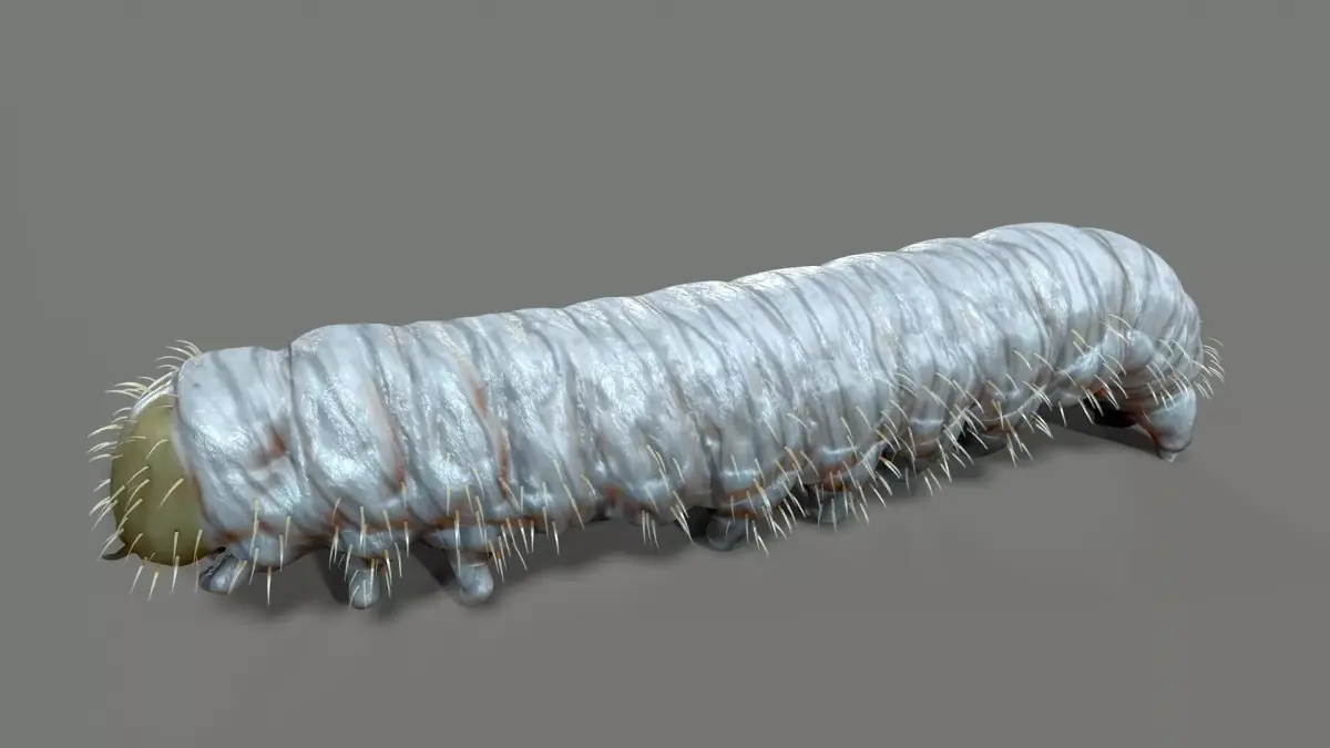 Caterpillar Low-poly 3D model