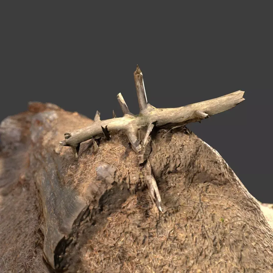 Ant Nest Log Low-poly 3D model