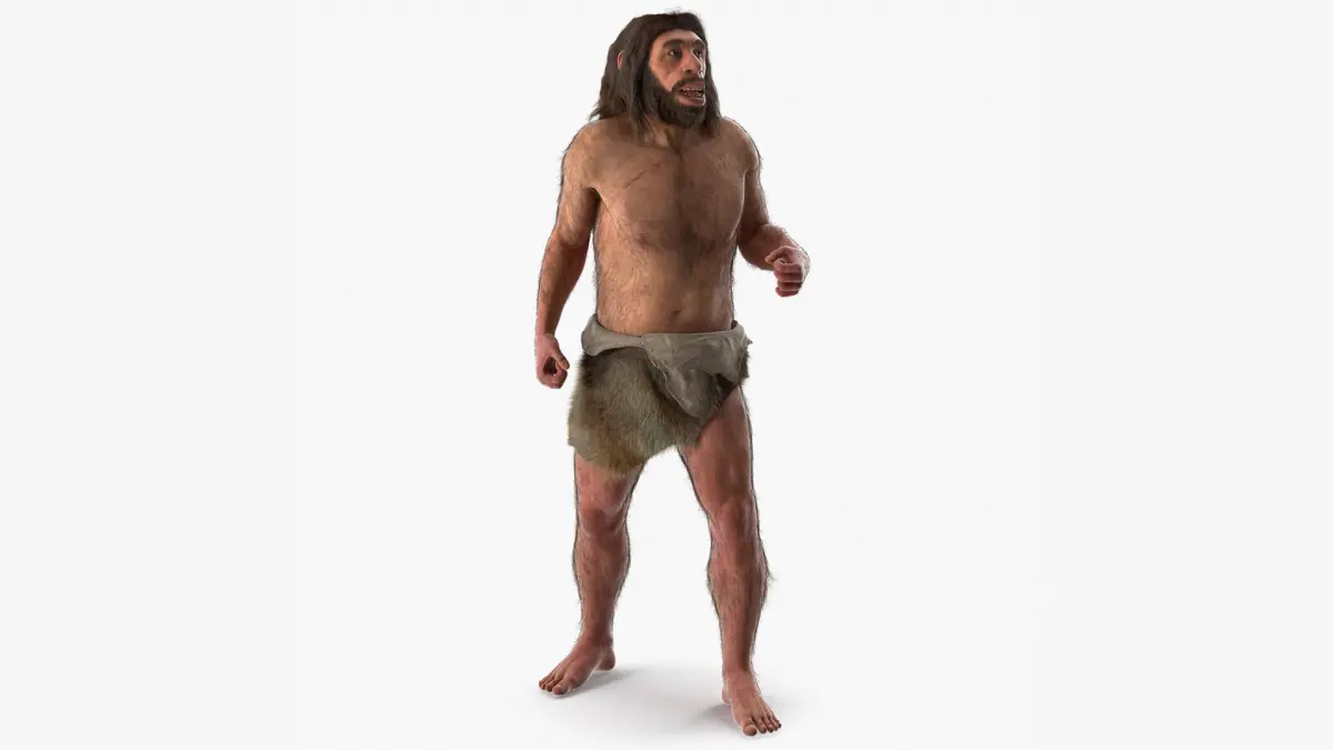 Ancient Neanderthal Fur Rigged 3D model